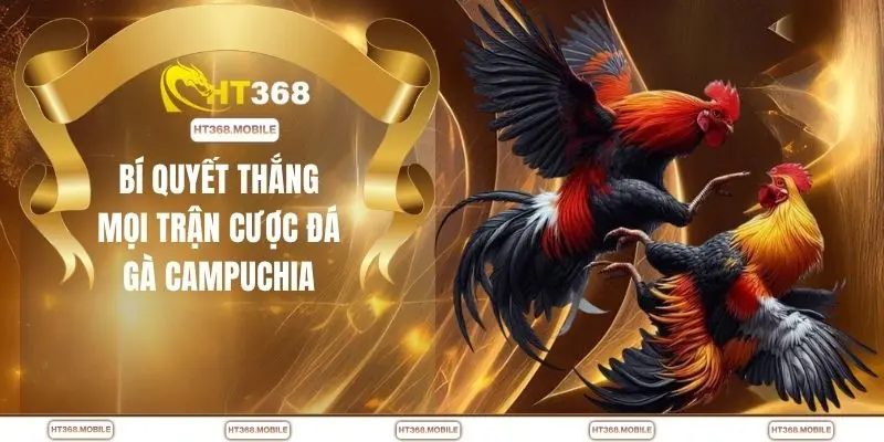 Chọi Gà Campuchia - Cuộc Đối Đầu Nảy Lửa Không Khoan Nhượng - RIWIN.BLOG