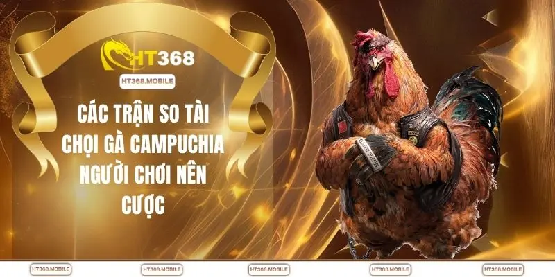 Chọi Gà Campuchia - Cuộc Đối Đầu Nảy Lửa Không Khoan Nhượng - RIWIN.BLOG