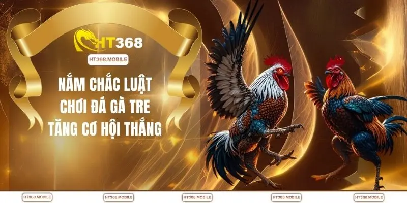Chọi Gà Tre HT368 - Lối Đá Linh Hoạt Tạo Nên Khác Biệt - RIWIN.BLOG