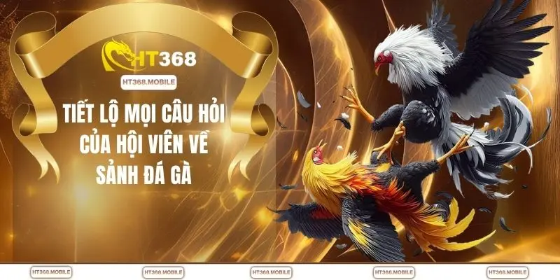 Đá Gà HT368 - Kịch Tính Ngay Trong Từng Pha Giao Tranh - RIWIN.BLOG