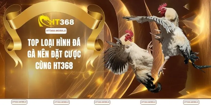 Đá Gà HT368 - Kịch Tính Ngay Trong Từng Pha Giao Tranh - RIWIN.BLOG