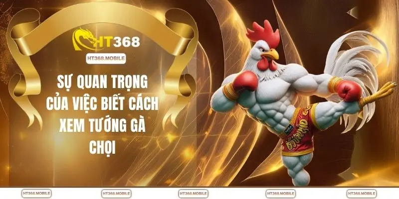 Xem Tướng Gà Chọi - Mẹo Nhận Biết Gà Đá Hay Cực Nhanh - RIWIN.BLOG
