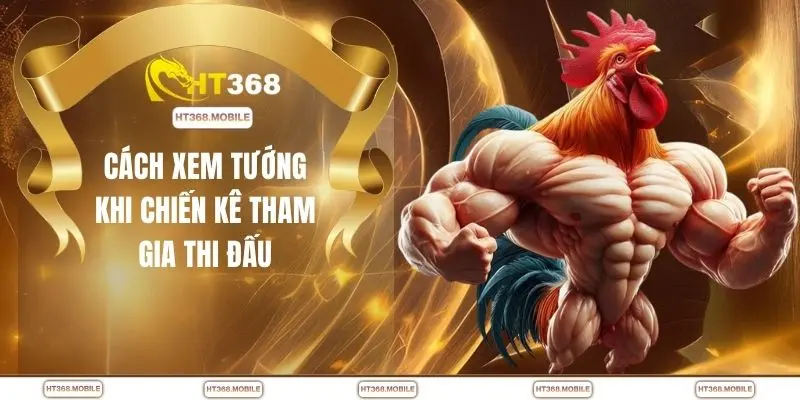 Xem Tướng Gà Chọi - Mẹo Nhận Biết Gà Đá Hay Cực Nhanh - RIWIN.BLOG