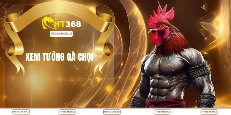 Xem Tướng Gà Chọi - Mẹo Nhận Biết Gà Đá Hay Cực Nhanh - RIWIN.BLOG